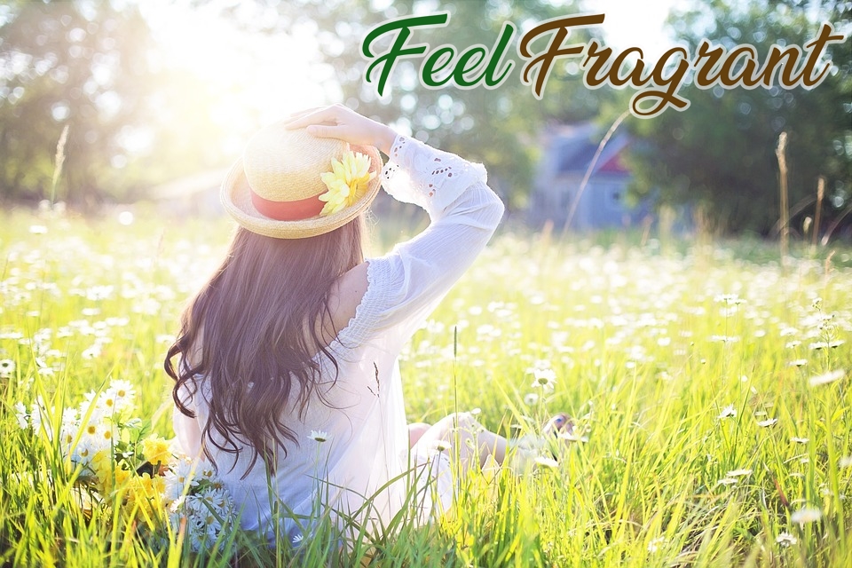 FeelFragrant ศูนย์รวม แหล่งรวม โรงงานผลิต เครื่องหอม ร้านเครื่องหอม ร้านน้ำหอม อโรม่า ทุกชนิด น้ำหอมปรับอากาศ น้ำมันหอมระเหย เทียนหอม น้ำหอมก้านไม้หวายกระจายกลิ่น ไม้หอม เครื่องหอมไทย เครื่องหอมต่างประเทศ ปลอดภัย ไร้สารเคมี ไร้สารพิษ รวมทั้ง อุปกรณ์ใช้กับเครื่องหอมทุกชนิด